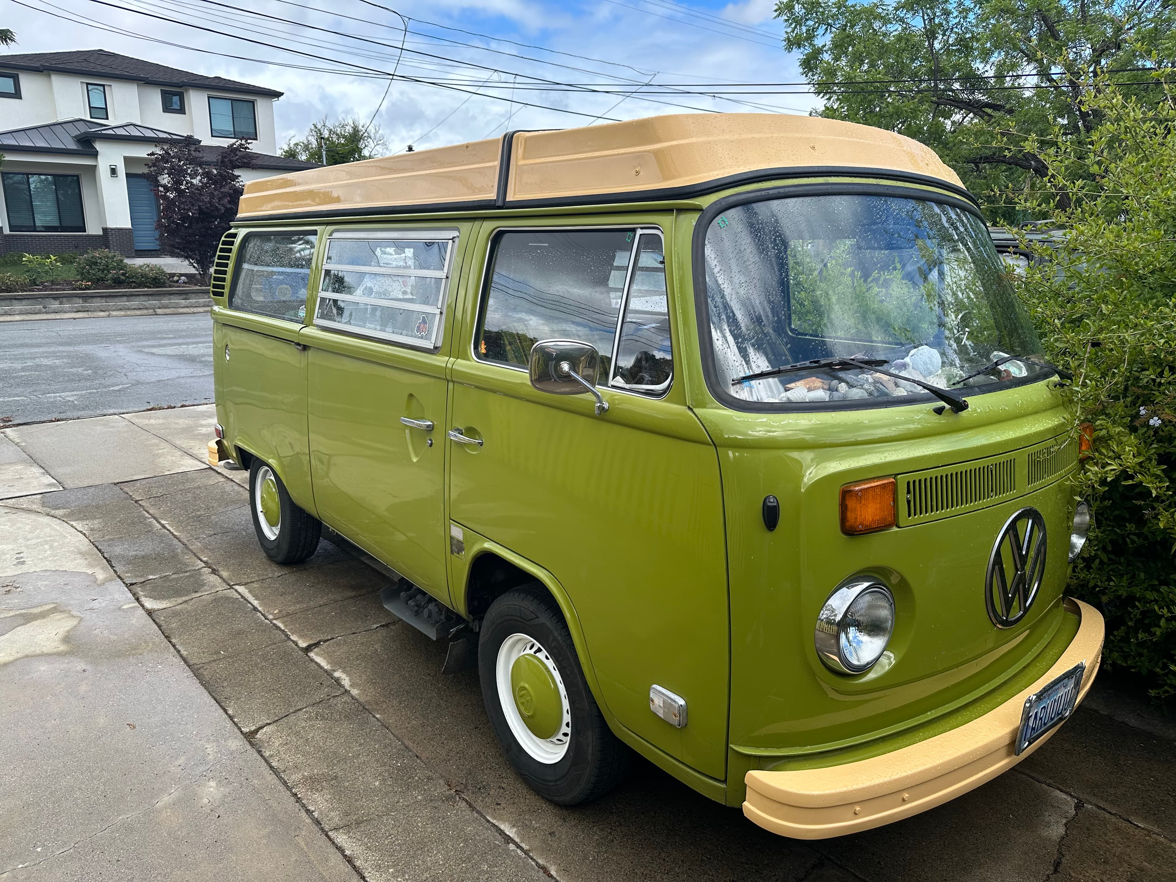 Taru, a 1976 VW Westfalia